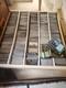 12000+ Magic the gathering cards collection lot 400 Foils 2 Large Flat Rate
