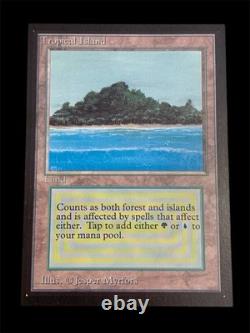 1993 MTG Collector's Edition TROPICAL ISLAND Rare Dual Land NM/M