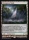1 FOIL Overgrown Tomb Land Expedition Mtg Magic Mythic Rare 1x x1