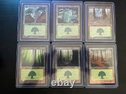 27 Foil Lands MTG Assorted Near Mint (NM) & Lightly Played (LP)- Lot