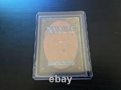 27 Foil Lands MTG Assorted Near Mint (NM) & Lightly Played (LP)- Lot