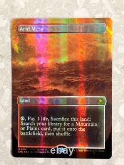 Arid Mesa (Borderless) (Dragonscale Foil) 114 MTG Special Guests SPG NM X1