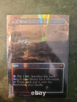 Arid Mesa (Borderless) (Dragonscale Foil) Special Guests Foil