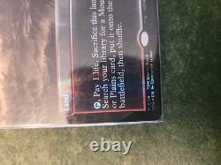 Arid Mesa (Borderless) (Dragonscale Foil) Special Guests Foil