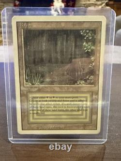 Bayou Revised Rare Dual Land MP Mtg Vintage Magic The Gathering Vertical Flaw