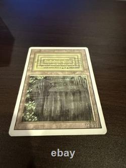 Bayou Revised Rare Dual Land MP Mtg Vintage Magic The Gathering Vertical Flaw