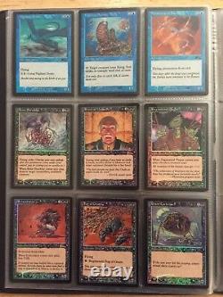 COMPLETE SET Urza's Legacy Foil Collection NEVER PLAYED MTG Magic the Gathering