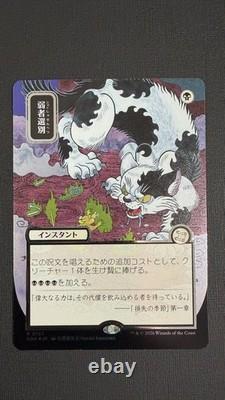 Culling the Weak Secrets of Strixhaven Mystical Archives Silver Scroll JP NM MtG