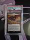 DRACOGENESIS Tarkir Dragonstorm Showcase PSA 10 (Pop 2) Magic The Gathering