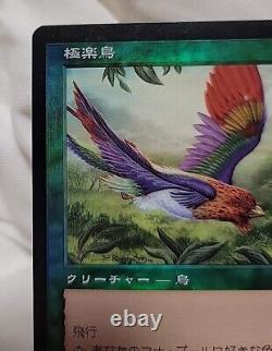 FOIL Birds of Paradise JAPANESE 7th Edition NM-/LP+