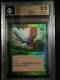 FOIL S-CHINESE BIRDS OF PARADISE 7TH MTG MINT bgs 9.5 POP1