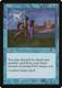 Foil #34 Foil (LP) PCY MTG