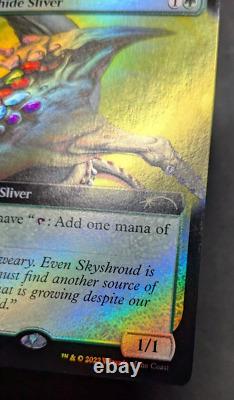 Gemhide Sliver Secret Lair foil extended art mtg magic the gathering