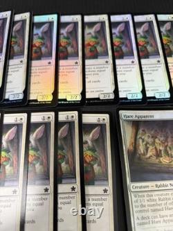 Hare Apparent Excellent Magic The Gathering ALL ENGLISH Regular×15 Foil×33 MTG