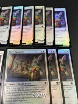 Hare Apparent Excellent Magic The Gathering ALL ENGLISH Regular×15 Foil×33 MTG