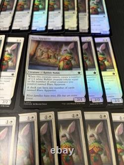 Hare Apparent Excellent Magic The Gathering ALL ENGLISH Regular×15 Foil×33 MTG