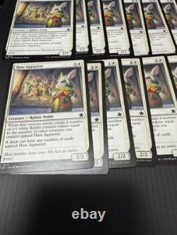 Hare Apparent Excellent Magic The Gathering ALL ENGLISH Regular×15 Foil×33 MTG