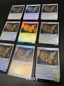 Hare Apparent Excellent Magic The Gathering ALL ENGLISH Regular×15 Foil×33 MTG