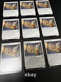 Hare Apparent Excellent Magic The Gathering ALL ENGLISH Regular×15 Foil×33 MTG