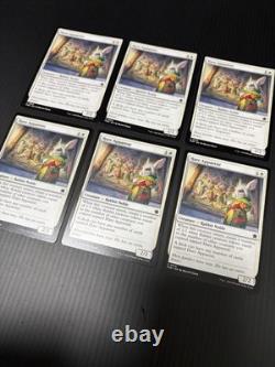 Hare Apparent Excellent Magic The Gathering ALL ENGLISH Regular×15 Foil×33 MTG