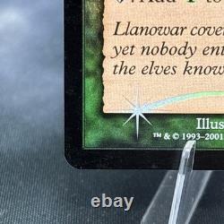 Llanowar Elves 7th Edition Foil