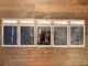 MG Oil Slick Foil Full Art Land Complete Set x5 PSA Graded SEQUENTIAL LOW POP