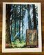 MTG? Artist Signed FOREST-Full Art Land ART PRINT & CARD? Unglued NM/M Nielsen Art