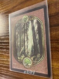 MTG? Artist Signed FOREST-Full Art Land ART PRINT & CARD? Unglued NM/M Nielsen Art