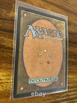 MTG? Artist Signed FOREST-Full Art Land ART PRINT & CARD? Unglued NM/M Nielsen Art