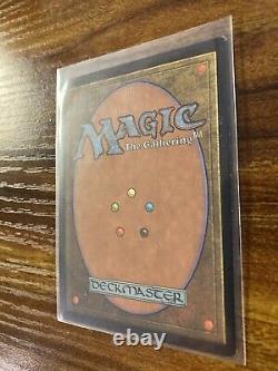 MTG? Artist Signed FOREST-Full Art Land ART PRINT & CARD? Unglued NM/M Nielsen Art