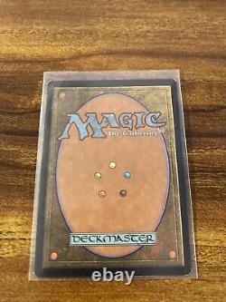 MTG? Artist Signed FOREST-Full Art Land ART PRINT & CARD? Unglued NM/M Nielsen Art