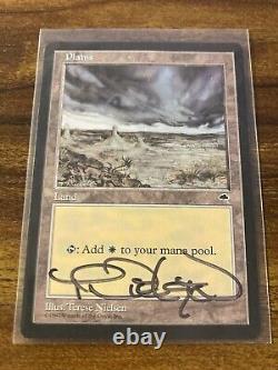 MTG? Artist Signed PLAINS-Ant Hill ART PRINT & CARD? Tempest MINT 1997 Nielsen Art