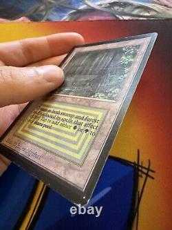 MTG Beta Bayou Magic Rare LP