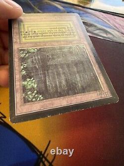 MTG Beta Bayou Magic Rare LP