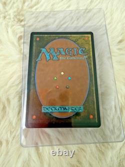 MTG Crop Rotation (Silver Scroll Foil) #181 Secrets of Strixhaven SOA JP NM
