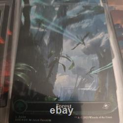 MTG Edge of Eternities EOE BORDERLESS FOIL x50 Full Art Set of 10 each NM