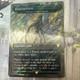 MTG Fangorn Forest Legendary Land Surge Foil 0407 shipped in One-Touch