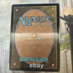 MTG Fangorn Forest Legendary Land Surge Foil 0407 shipped in One-Touch