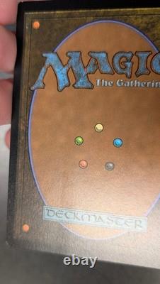 MTG Magic Edge of Eternities Fracture Foil Exalted Sunborn (Showcase)