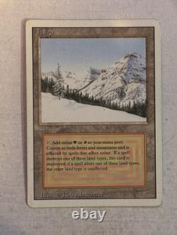 MTG Magic the Gathering Taiga Revised Edition MP (2 Of 3)