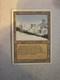 MTG Magic the Gathering Taiga Revised Edition MP (3 Of 3)