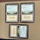 MTG Plains Alpha Regular Land 3x