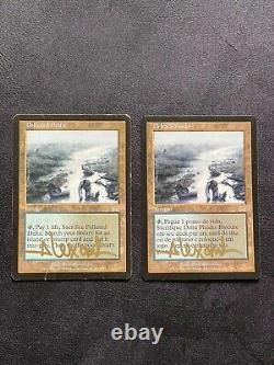 MTG Polluted Delta English HP/DMG & Portuguese NM signed Rob Alexander set READ