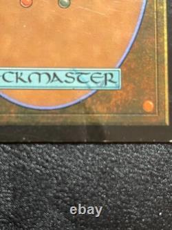 MTG Polluted Delta English HP/DMG & Portuguese NM signed Rob Alexander set READ
