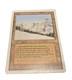 MTG Revised R L Taiga Magic The Gathering Original 1994 release NM