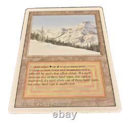 MTG Revised R L Taiga Magic The Gathering Original 1994 release NM