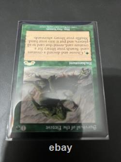 MTG SURVIVAL OF THE FITTEST NM Exodus Magic the Gathering