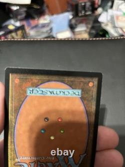 MTG SURVIVAL OF THE FITTEST NM Exodus Magic the Gathering