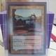 MTG Shivan Reef Apocalypse #142 Foil Edition