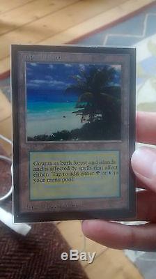 MTG Tropical Island altered by BigUp Collectors Edition beta Magic FOIL